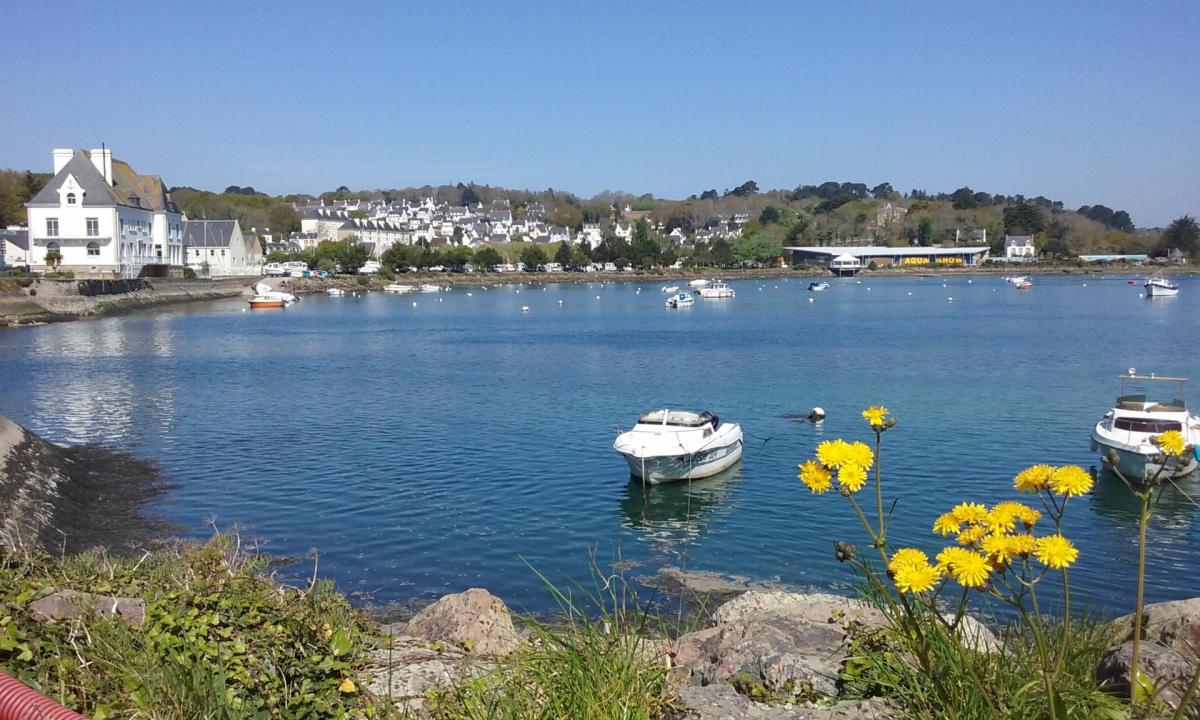 Arriere port