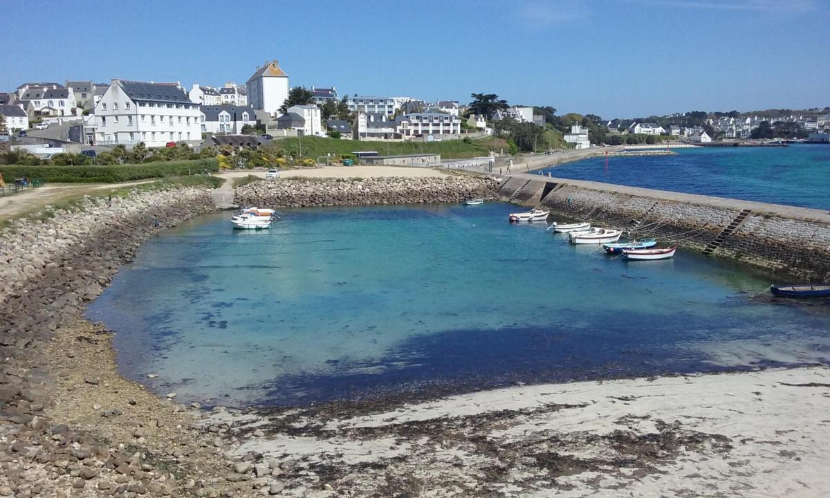 Petit port 2