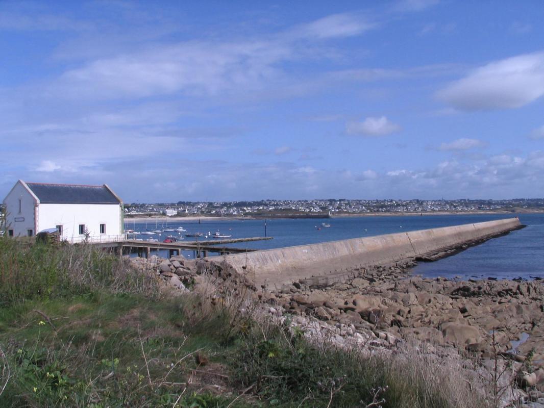 Ste evette