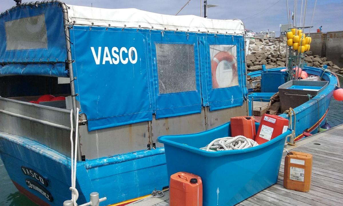 Vasco dz dz