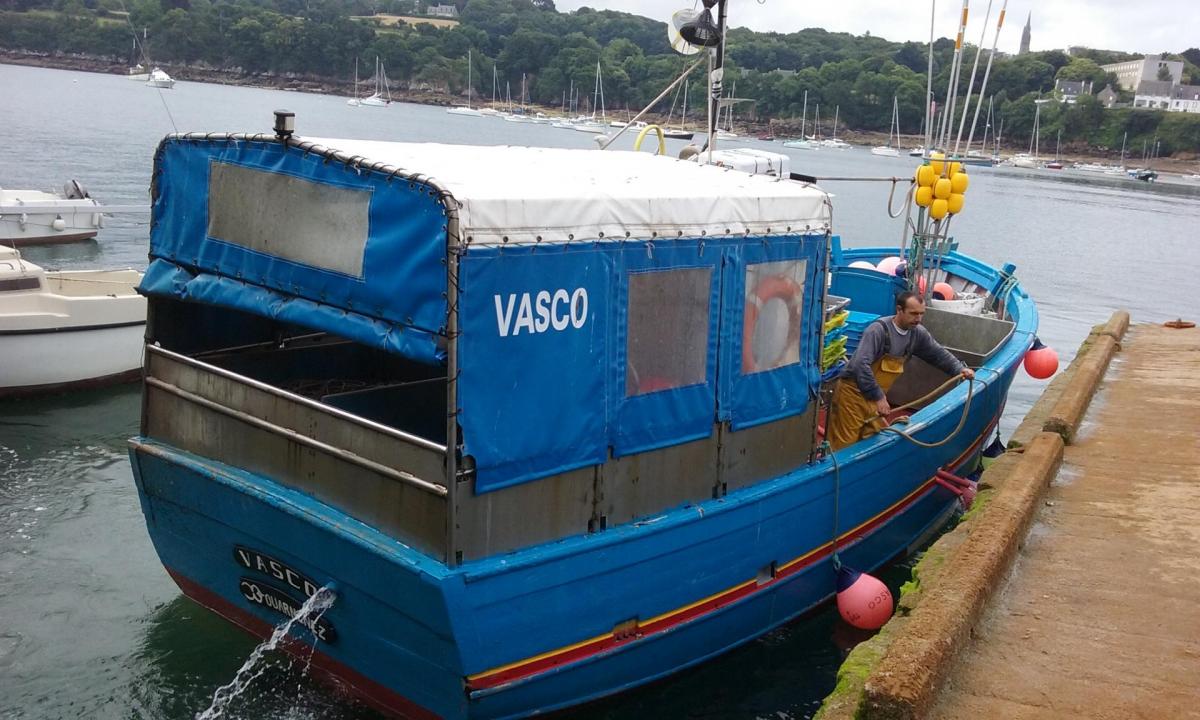 Vasco dz